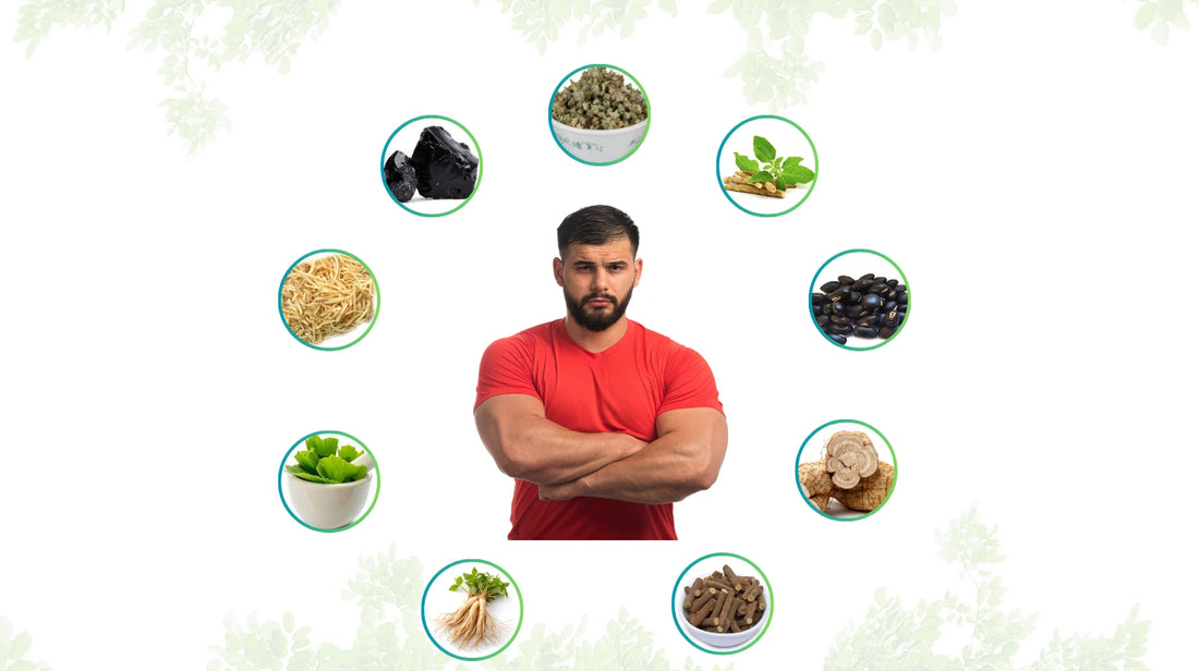 9 Powerful Ayurvedic Herbs to Boost Male Health