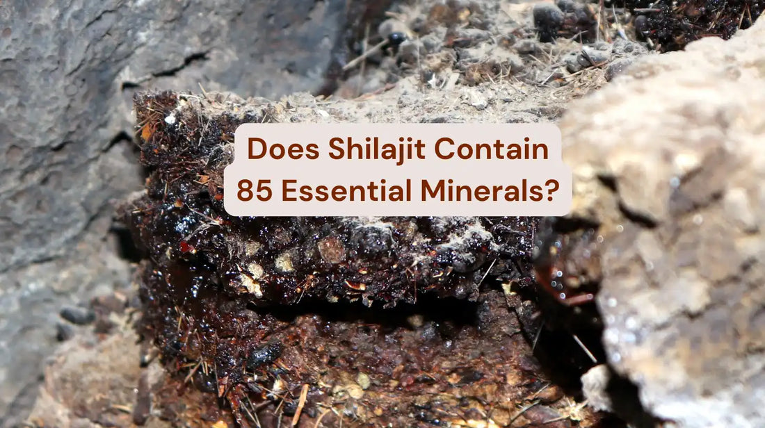 What are the 85 Minerals Found in Shilajit