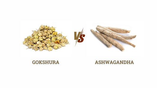 ashwagandha vs gokshura