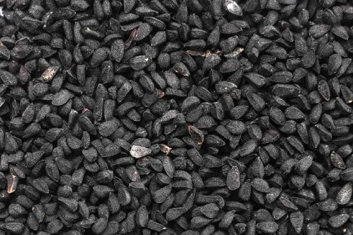 Black Cumin CO2 Extract