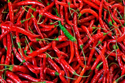 Red Chilli Pepper CO2 Extract