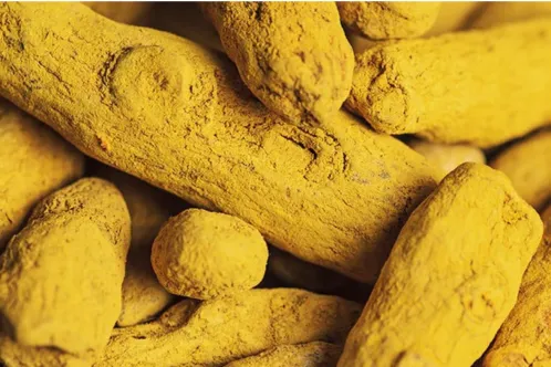 Turmeric CO2 Extract (Total Oleoresin)
