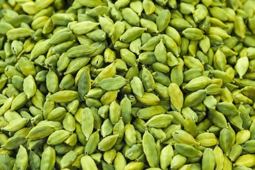 Cardamom CO2 Extract (Total Oleoresin)
