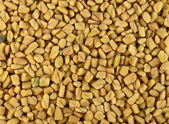 Essential oil of Fenugreek