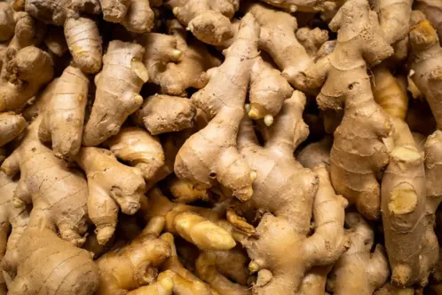 Ginger CO2 Extract (Total Oleoresin)