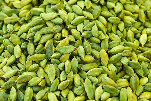 Essential oil of Cardamom