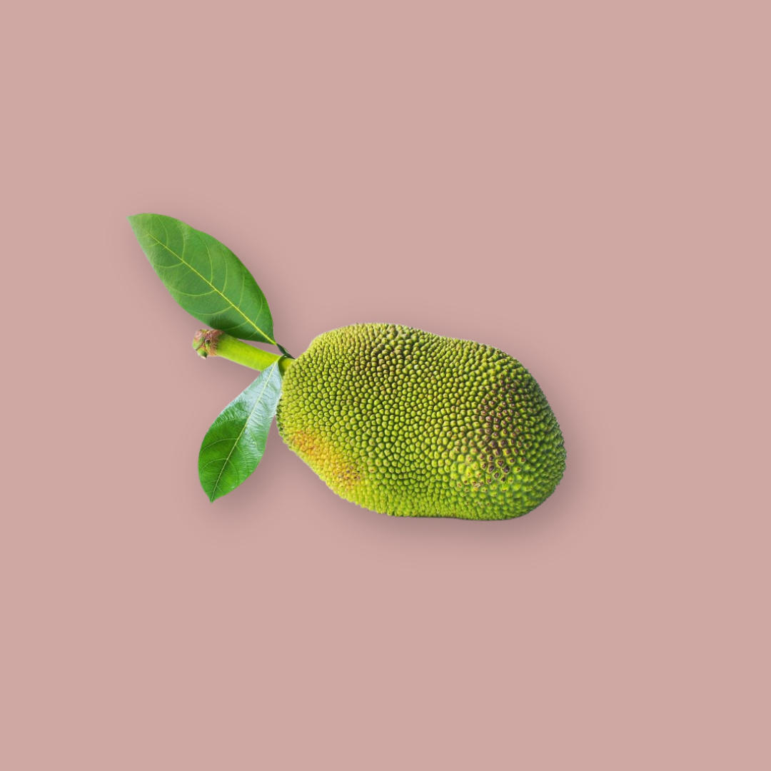 Jackfruit