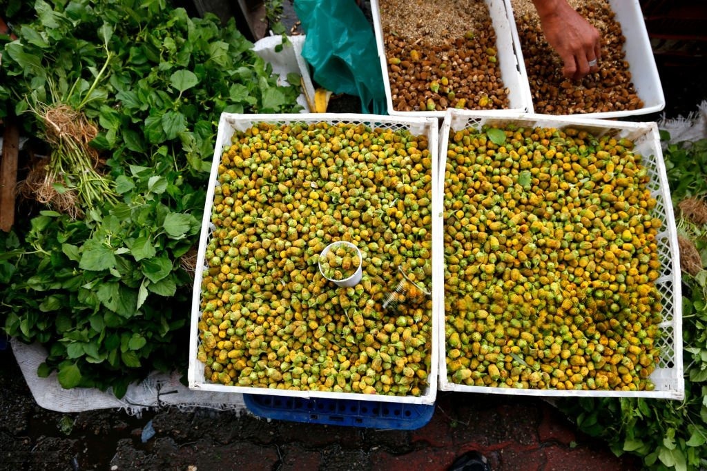 Jambu Total Extract