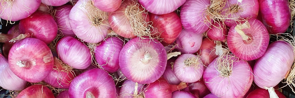 Onion