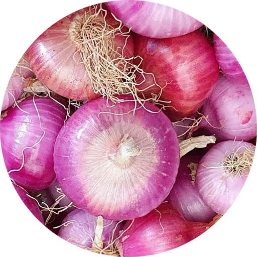 Onion