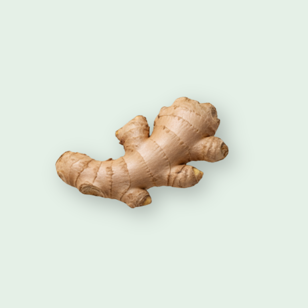 Ginger CO2 Extract