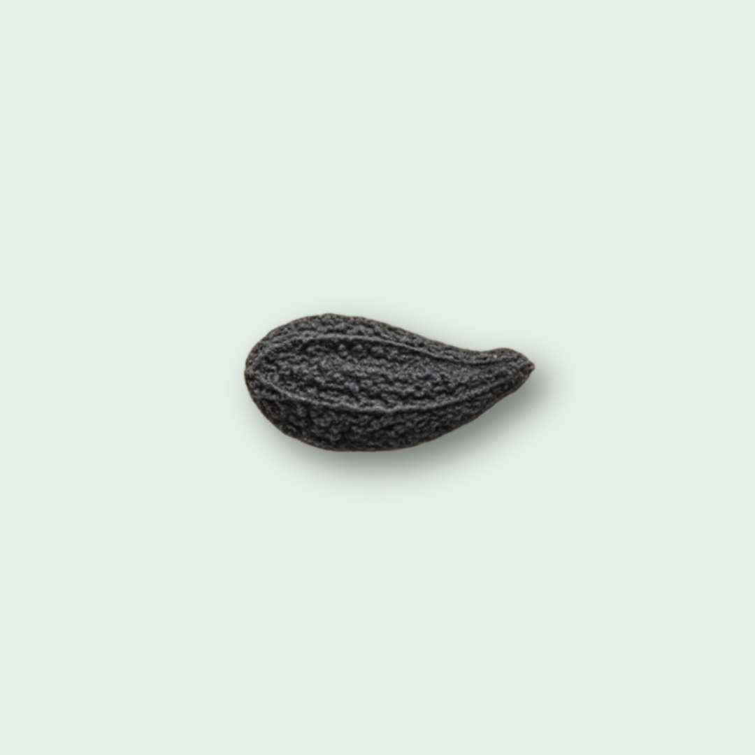 Black Cumin CO2 Extract