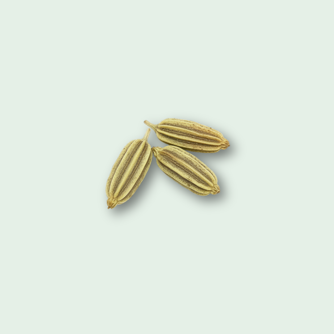 Fennel