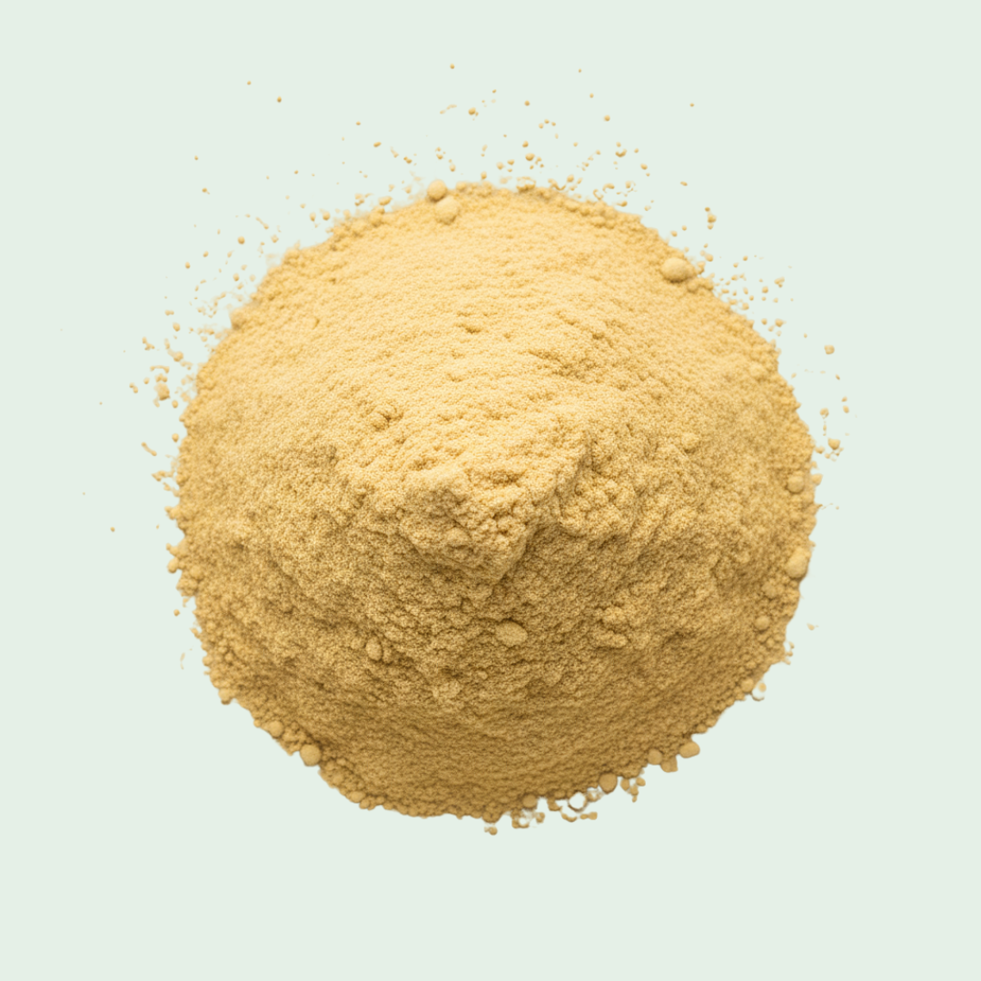 Soy Lecithin Powder